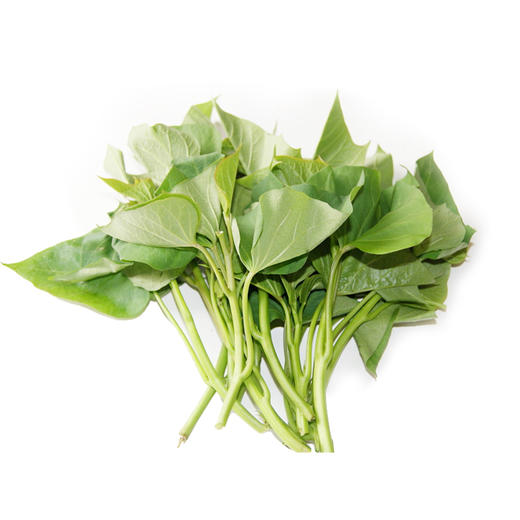 有机蜜薯叶500g有机种植南京农业大学有机农业实验站