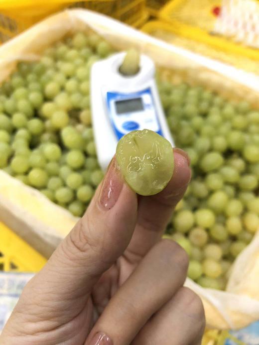 周四取货：【新疆无核白葡萄】一箱毛重5.5斤左右，  甜蜜多汁，一口一颗，甜蜜蜜！ 商品图0