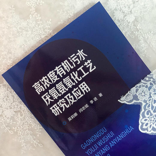 高浓度有机污水厌氧氨氧化工艺研究及应用 污水处理技术书籍 厌氧氨氧化工艺在高浓度有机污水中的应用 厌氧氨氧化工艺运行调控 商品图2