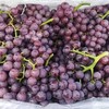 暂时不用~【新疆吐鲁番玻璃脆葡萄】2斤/4斤/8斤，纯甜不掉珠 商品缩略图3