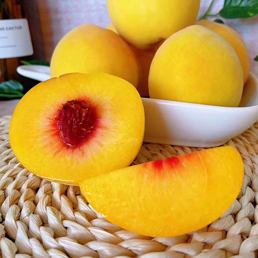 【炎陵黄桃】约5斤/箱，陶醉天下 商品图0