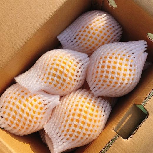 【炎陵黄桃】约5斤/箱，陶醉天下 商品图6