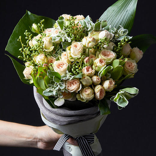 立秋有爱·帕尔玛玫瑰【no.003】