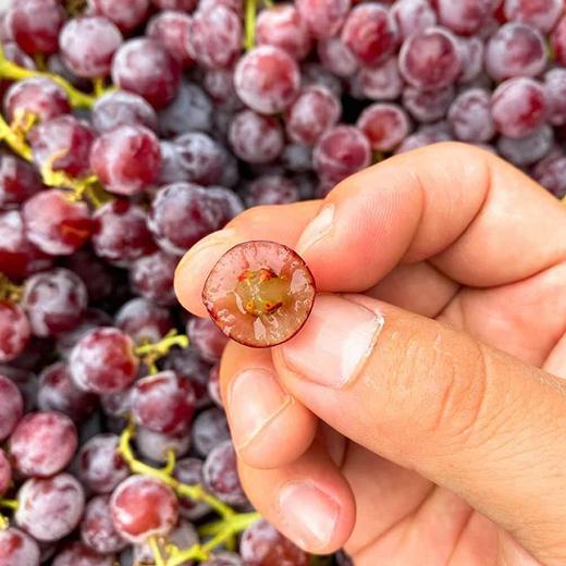 暂时不用~【新疆吐鲁番玻璃脆葡萄】2斤/4斤/8斤，纯甜不掉珠 商品图1