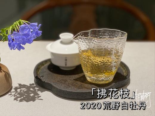2020荒野牡丹《拂花枝》，老茶友的心仪之选 商品图5