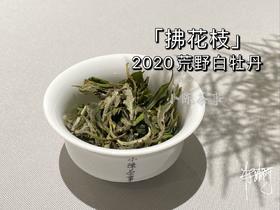 2020荒野牡丹《拂花枝》，老茶友的心仪之选