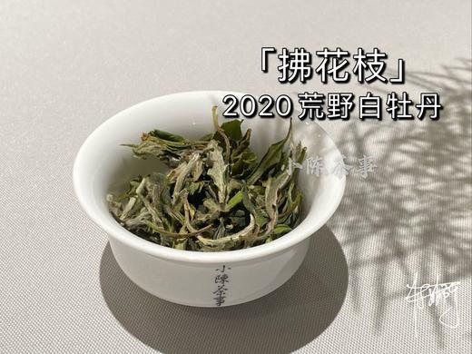 2020荒野牡丹《拂花枝》，老茶友的心仪之选 商品图0