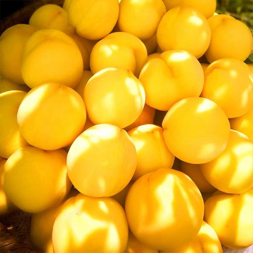 【炎陵黄桃】约5斤/箱，陶醉天下 商品图2