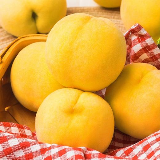 【炎陵黄桃】约5斤/箱，陶醉天下 商品图3