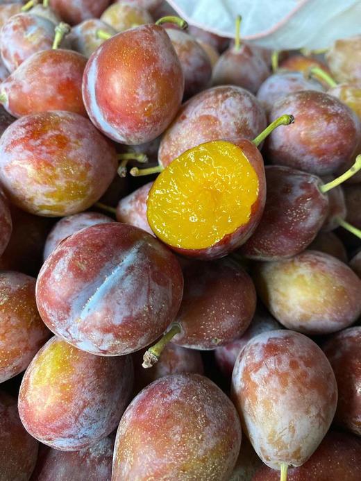 【新疆西梅】 饱满而紧实的果肉 ,一股透着清香的甜蜜在你的舌尖炸开