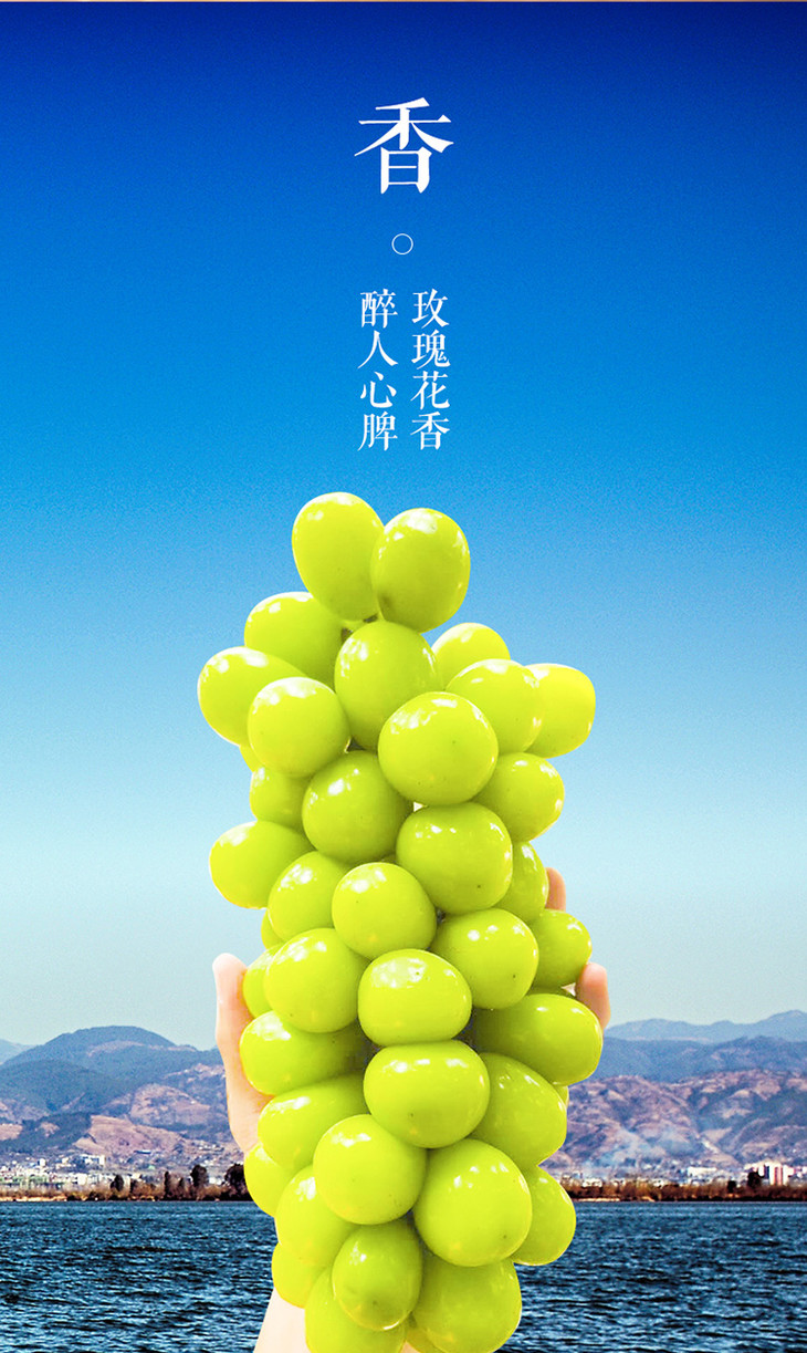 顺丰发货西昌晴王葡萄阳光玫瑰葡萄23斤尊享款