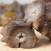 海晏堂大连即食海参辽参刺参简装500g（非整只海参，介意勿拍） 商品缩略图1