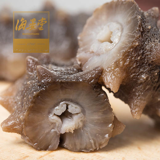 海晏堂大连即食海参辽参刺参简装500g（非整只海参，介意勿拍） 商品图1