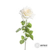 单头玫瑰 | 白色荔枝（轻微机械损伤不需售后，季节影响颜色偏粉，介意慎拍） 商品缩略图1