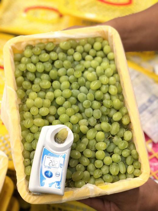 周四取货：【新疆无核白葡萄】一箱毛重5.5斤左右，  甜蜜多汁，一口一颗，甜蜜蜜！ 商品图3