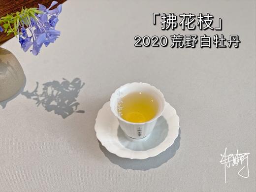 2020荒野牡丹《拂花枝》，老茶友的心仪之选 商品图7