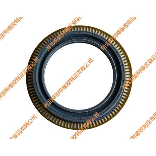 海奥欧曼后轮油封135*175*205*18（带盘）奥威后轮油封、485后轮油封/欧曼轮边油封、奥威轮边油封、485轮边油封135x175x205x18（13517520518） 商品图1