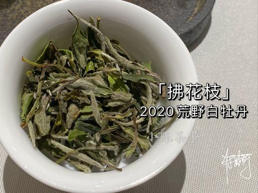 2020荒野牡丹《拂花枝》，老茶友的心仪之选 商品图2
