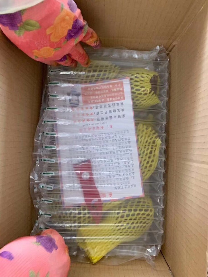 32f7225c54b374a0c3e6ae2796abc6