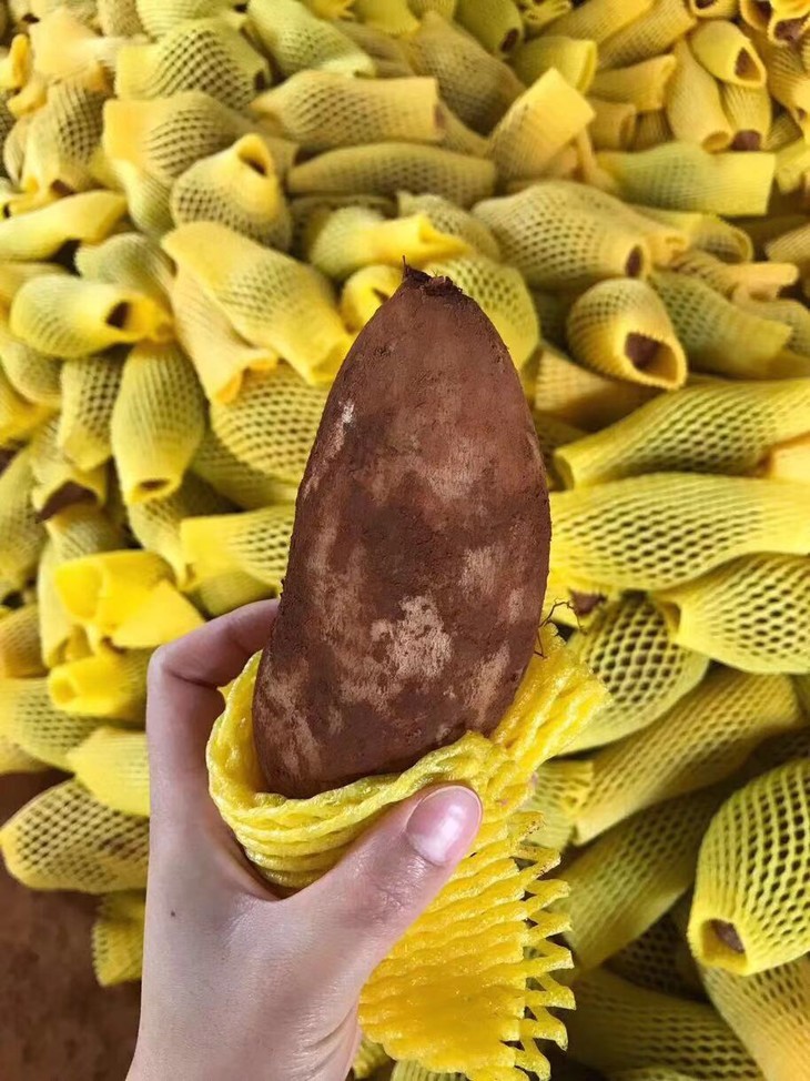 915a19a2db20168811e812bd07c9c4