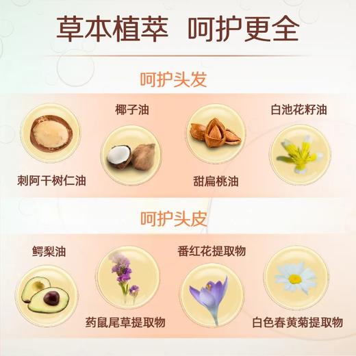 丝婷植萃护发染霜套装/在家就能染/专利加持无氨配方/8重天然植萃/染护合一/韩国原装进口 商品图5