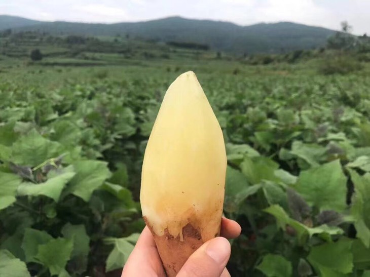 da01751b7751b47aeb8c6c57acf405