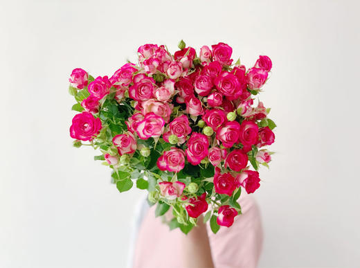 多头狮子座【你的灵魂骄傲又自卑 俗气又高贵】简小姐精选 多情浪漫狮子座多头玫瑰 9+1枝(防花损）2束包邮 48小时发货 商品图2