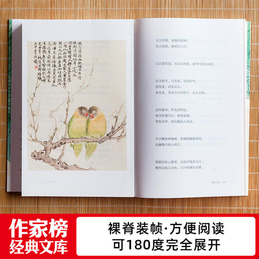 中国古典生活美学四书：小窗幽记+幽梦影+菜根谭+围炉夜话 商品图6