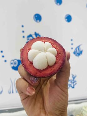 【稀缺礼泰国山竹到店】水果皇后，滋补，营养丰富。话不多说拍就完了～～