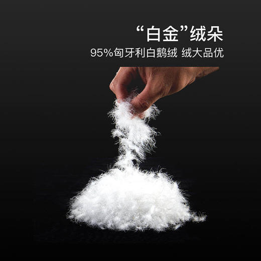 匈牙利进口95%可水洗白鹅绒麦春秋被送夏被 奥黛丽 商品图1