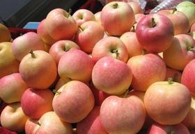 【5.9元2斤】美八苹果（1500187）