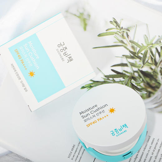 韩国宫中秘策儿童防晒气垫15g 商品图0