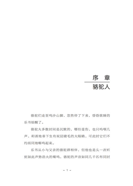 涂布敦煌 商品图4