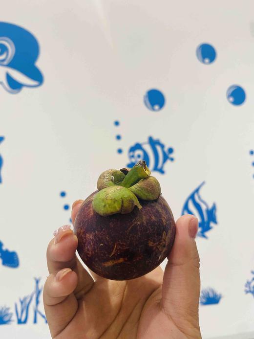 【稀缺礼泰国山竹到店】水果皇后，滋补，营养丰富。话不多说拍就完了～～ 商品图1