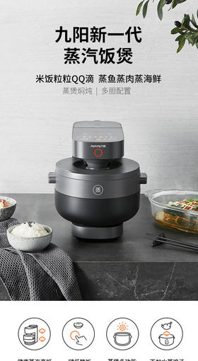 九阳蒸汽电饭煲F-S1