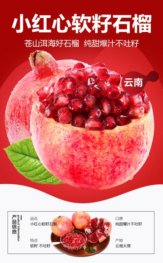 2025年四川会理红心软石榴特大果\大果\中果  全国包邮 商品图0