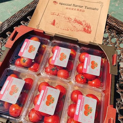 【丽妃蜜水果番茄】约1斤*1盒*2盒/3盒 商品图3