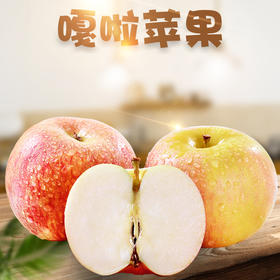 果园直发陕西嘎啦苹果 5/10斤装