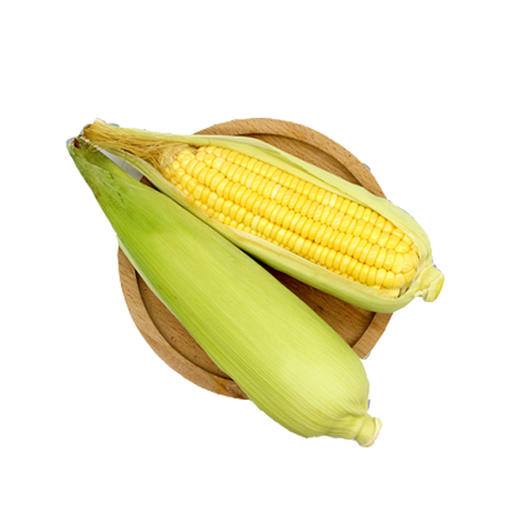 有机甜玉米650g|有机种植|南京农业大学有机农业实验站
