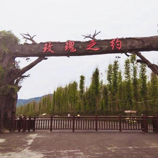 【秀山双晒】龙凤花海·玫瑰之约景区门票
