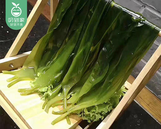 霞浦海带嫩苗*2包（约500g/包 盐渍半干）生产日期: 11月 商品图2