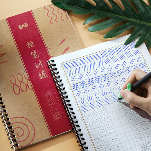 控笔训练字帖硬笔书法成人初学练字儿童入门笔画偏旁临摹凹槽字帖 商品图0