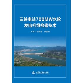 三峡电站700MW水轮发电机组检修技术