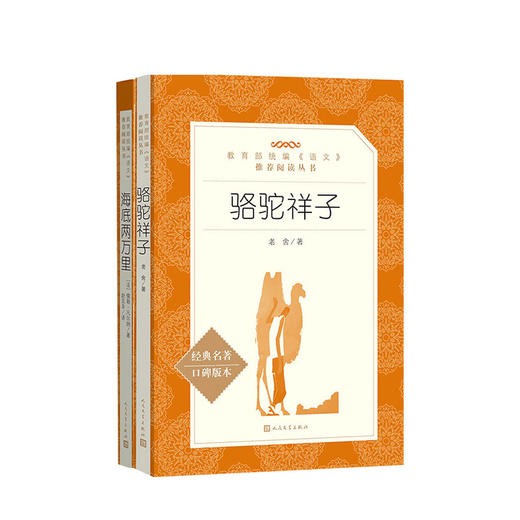 骆驼祥子+海底两万里 套装两册 七年级课外阅读 七年级下册语文书教材配套名著阅读青少年经典文学 商品图1