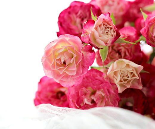 多头狮子座【你的灵魂骄傲又自卑 俗气又高贵】简小姐精选 多情浪漫狮子座多头玫瑰 9+1枝(防花损）2束包邮 48小时发货 商品图8