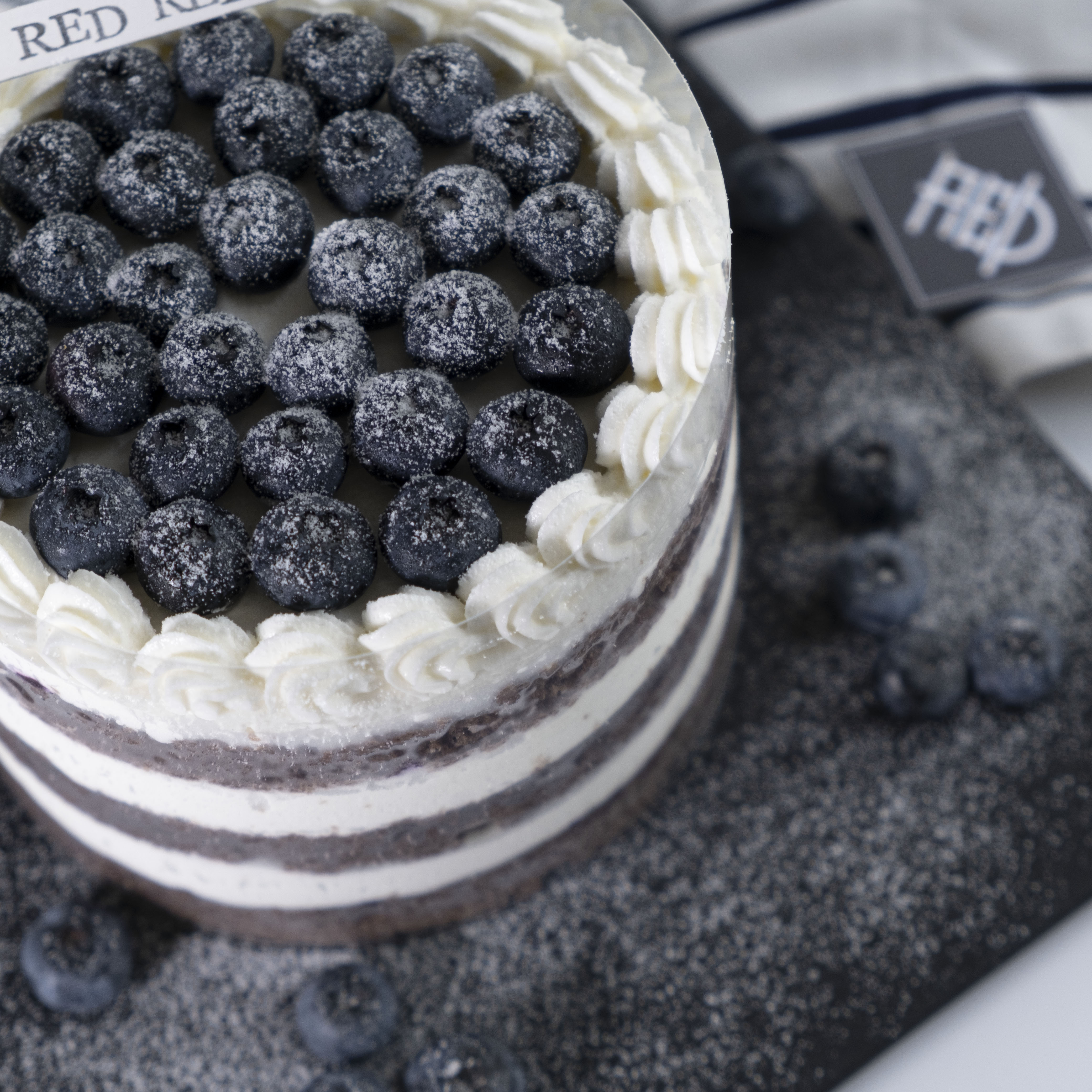 蓝莓可可 Blueberry Cocoa