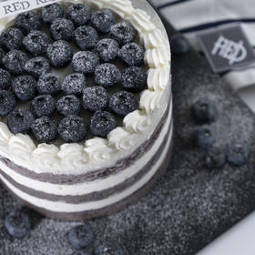 蓝莓可可 Blueberry Cocoa