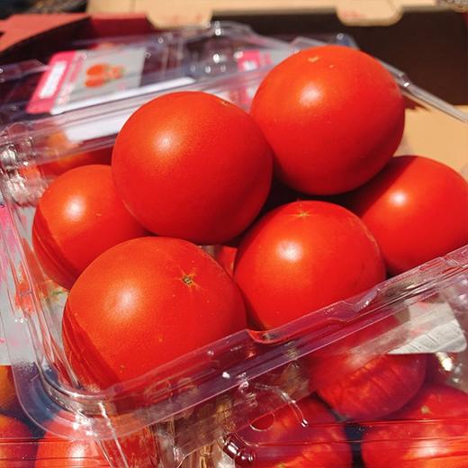 【丽妃蜜水果番茄】约1斤*1盒*2盒/3盒 商品图2
