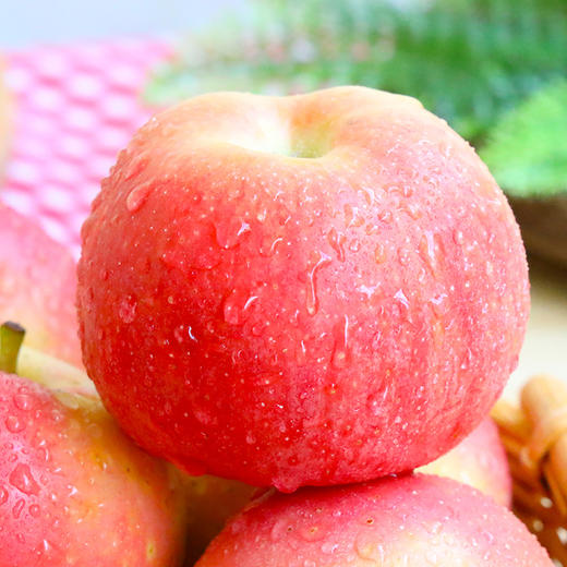 果园直发陕西嘎啦苹果 5/10斤装 商品图4