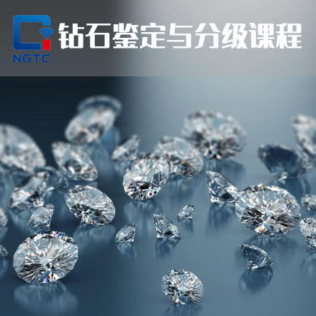 钻石鉴定与分级OMO 商品图0